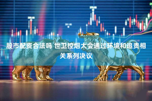 股市配资合法吗 世卫控烟大会通过环境和追责相关系列决议