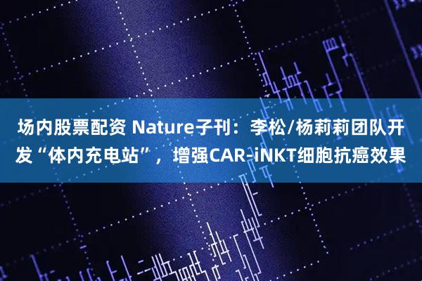 场内股票配资 Nature子刊：李松/杨莉莉团队开发“体内充电站”，增强CAR-iNKT细胞抗癌效果